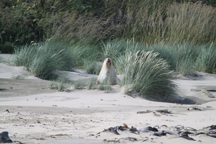 5AFD6CB4-F531-45CE-8DEA-EB8868F4F0A9