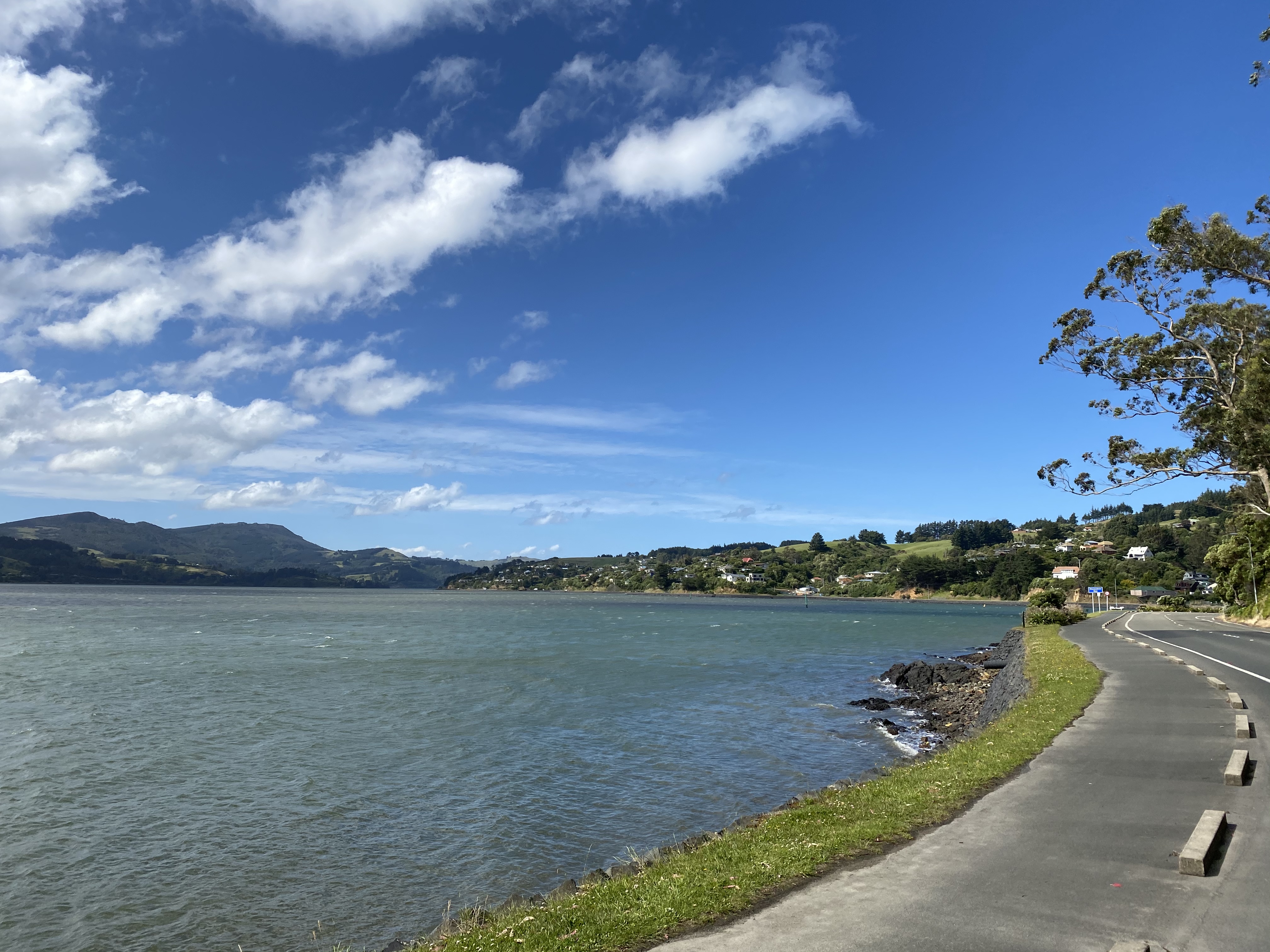 5D5B53BA-0707-4A32-8A6D-A321ABE6842F