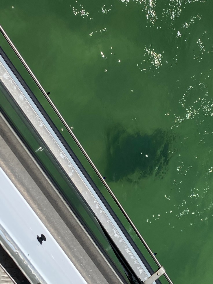 64ADEF9B-6553-403E-A93B-326C9F8852B1