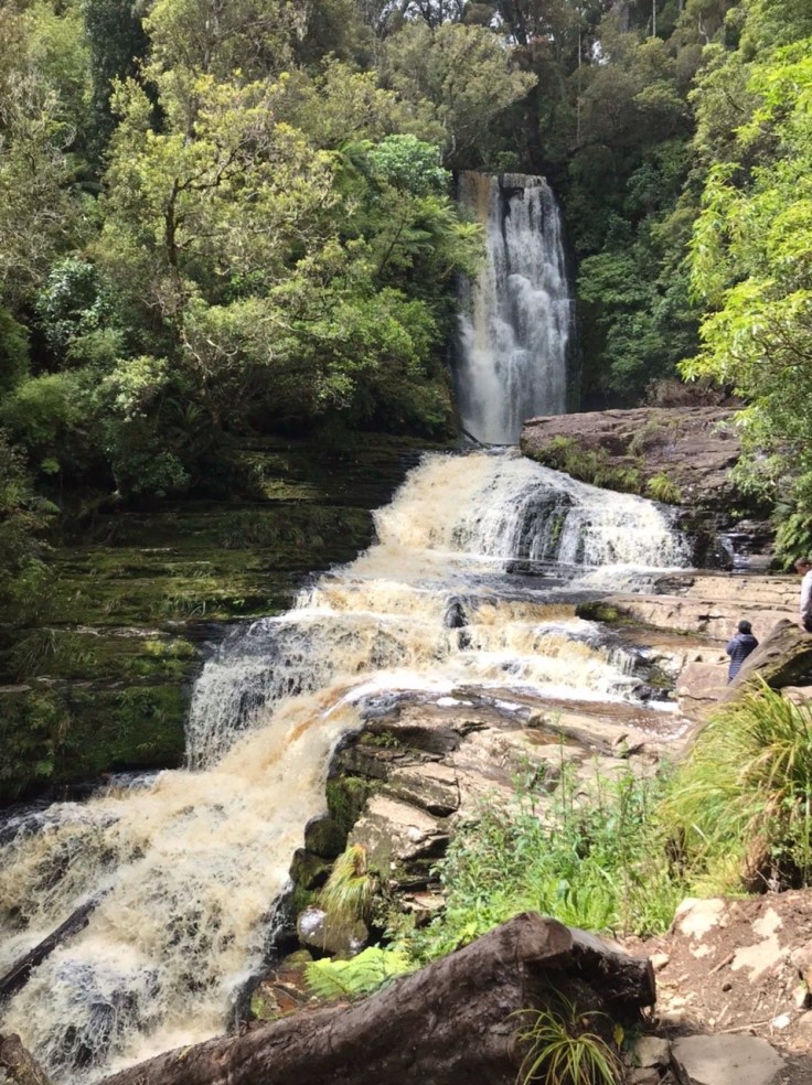 667B8D56-A288-45BC-80F3-EF8F1FA52E6A