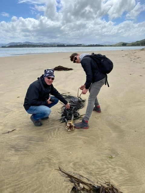 700F555B-6860-4653-B562-B1BACDA57727