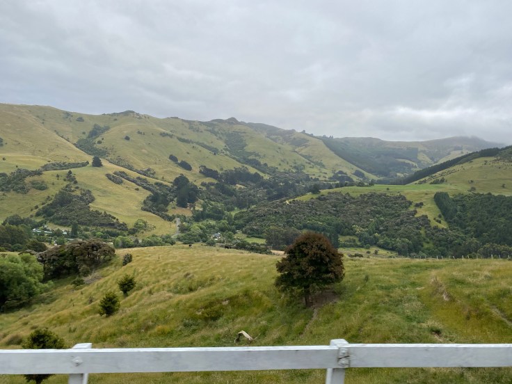 81859902-4233-45DF-AF8F-313F25A49BA7