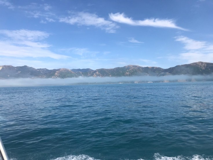 84CDEEA8-6D6B-4279-B822-1D74E94FD2BB