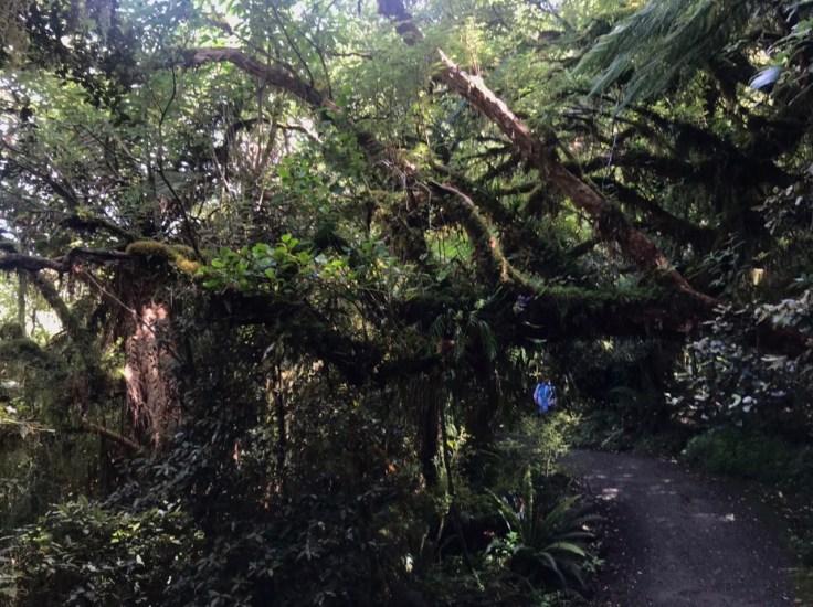 86E24603-FC15-43C7-85C4-3A4AF027F0C9