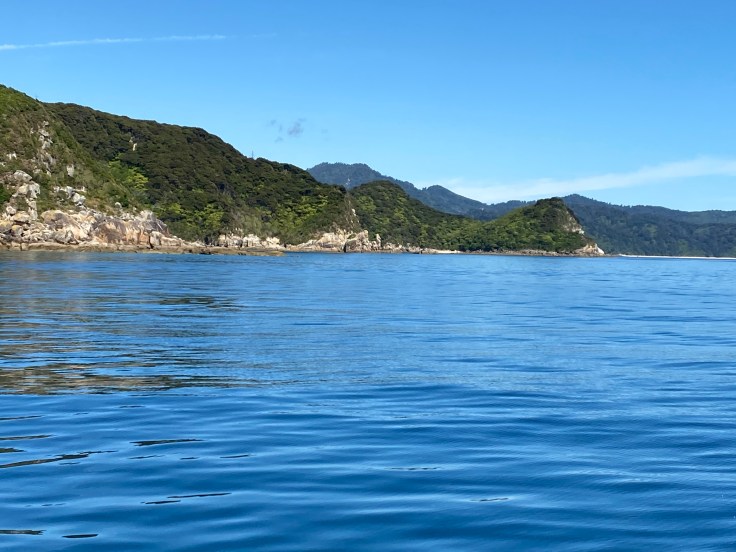 8AA0FA37-5F29-463A-8DB9-D433C4DAEFAF