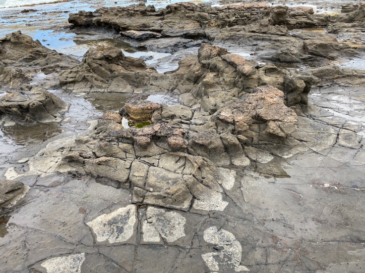 8BEAE0E7-D00E-489C-9A9A-B68FE1E03C58