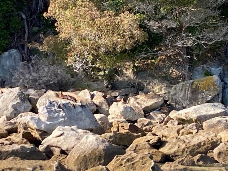 8DF6794C-0099-4340-A89B-BACDC29814CB