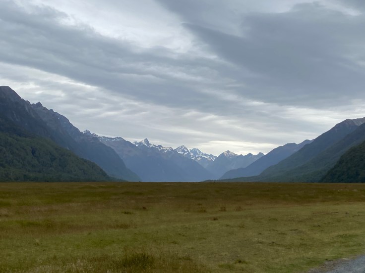 8F20538A-E6BE-4C75-9711-CA3CB325FCFB