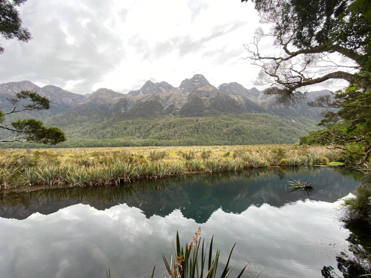 94FB715F-7D76-47B8-9622-C34E95B922CF