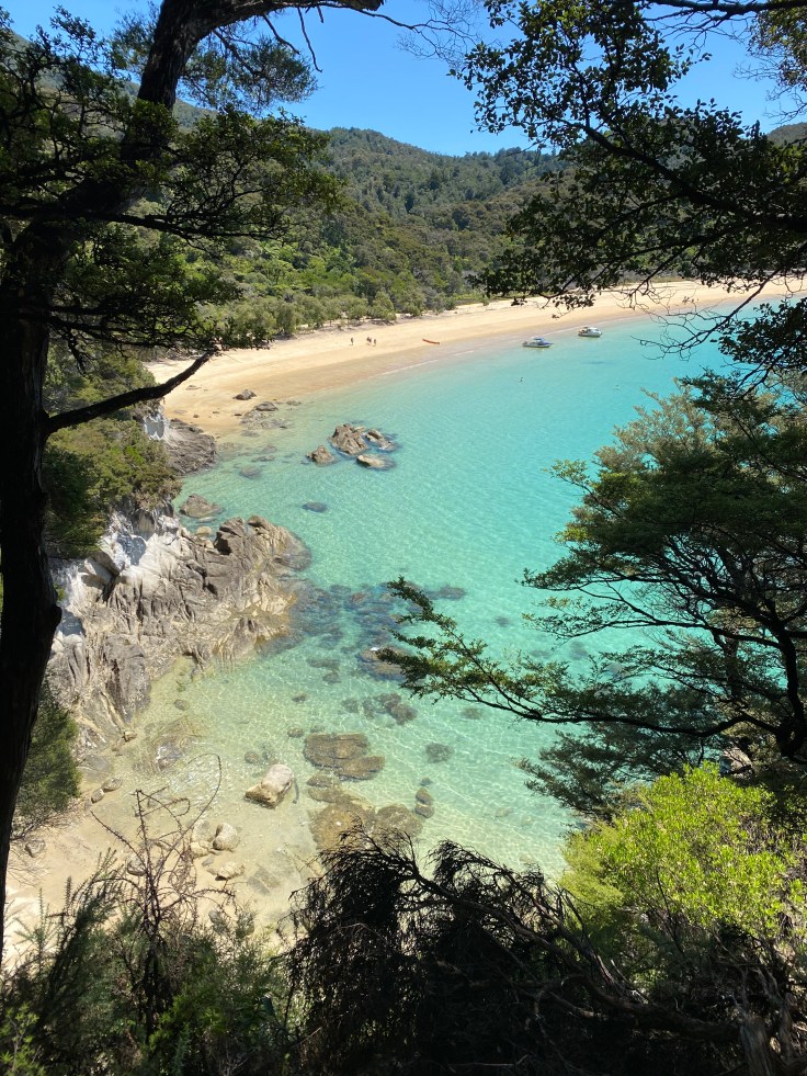 95F2DB07-8ECE-4192-B4D5-38E389DF0615