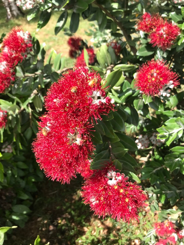 97F0F45C-6885-4760-85B8-1771507FCF8E