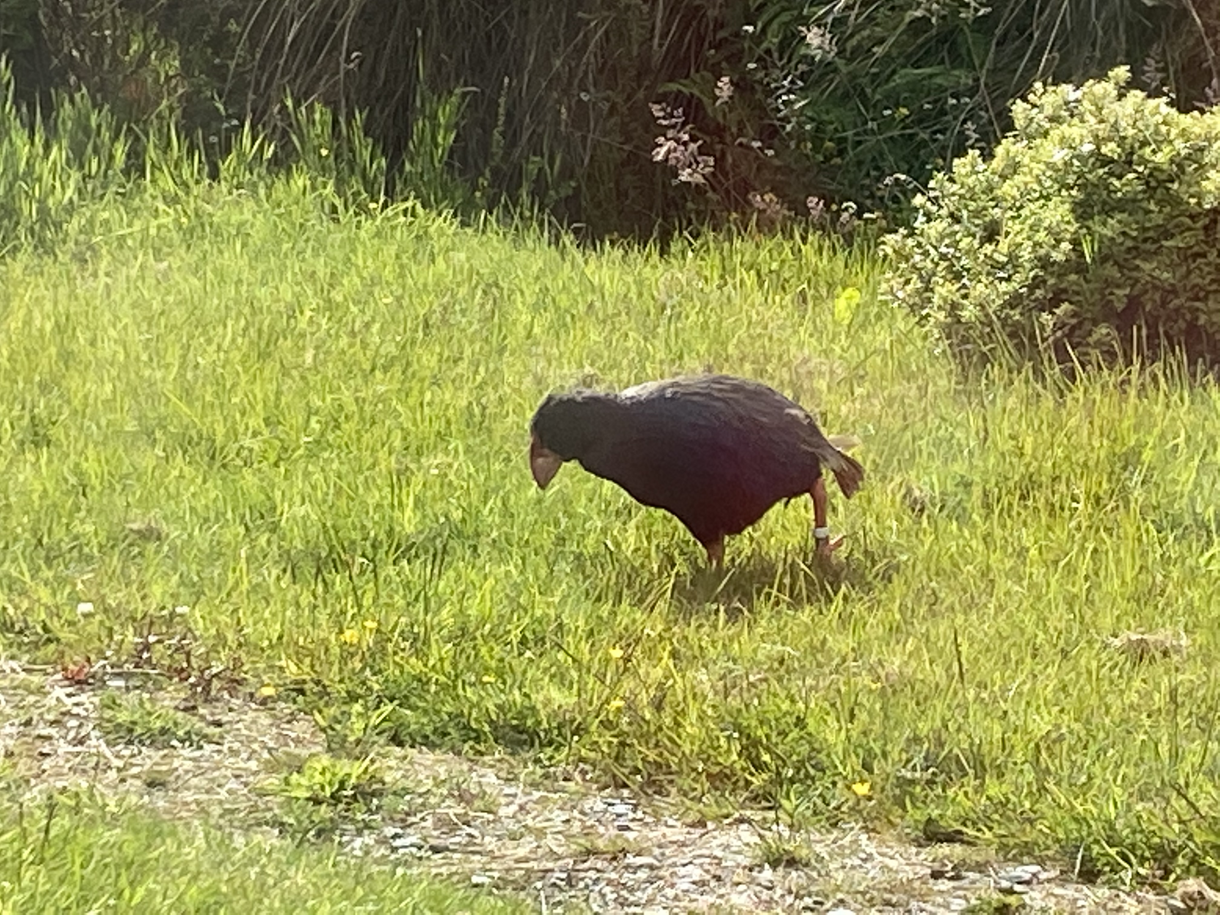 9FB7720C-F9CD-4674-909D-BB0C8CEA0245