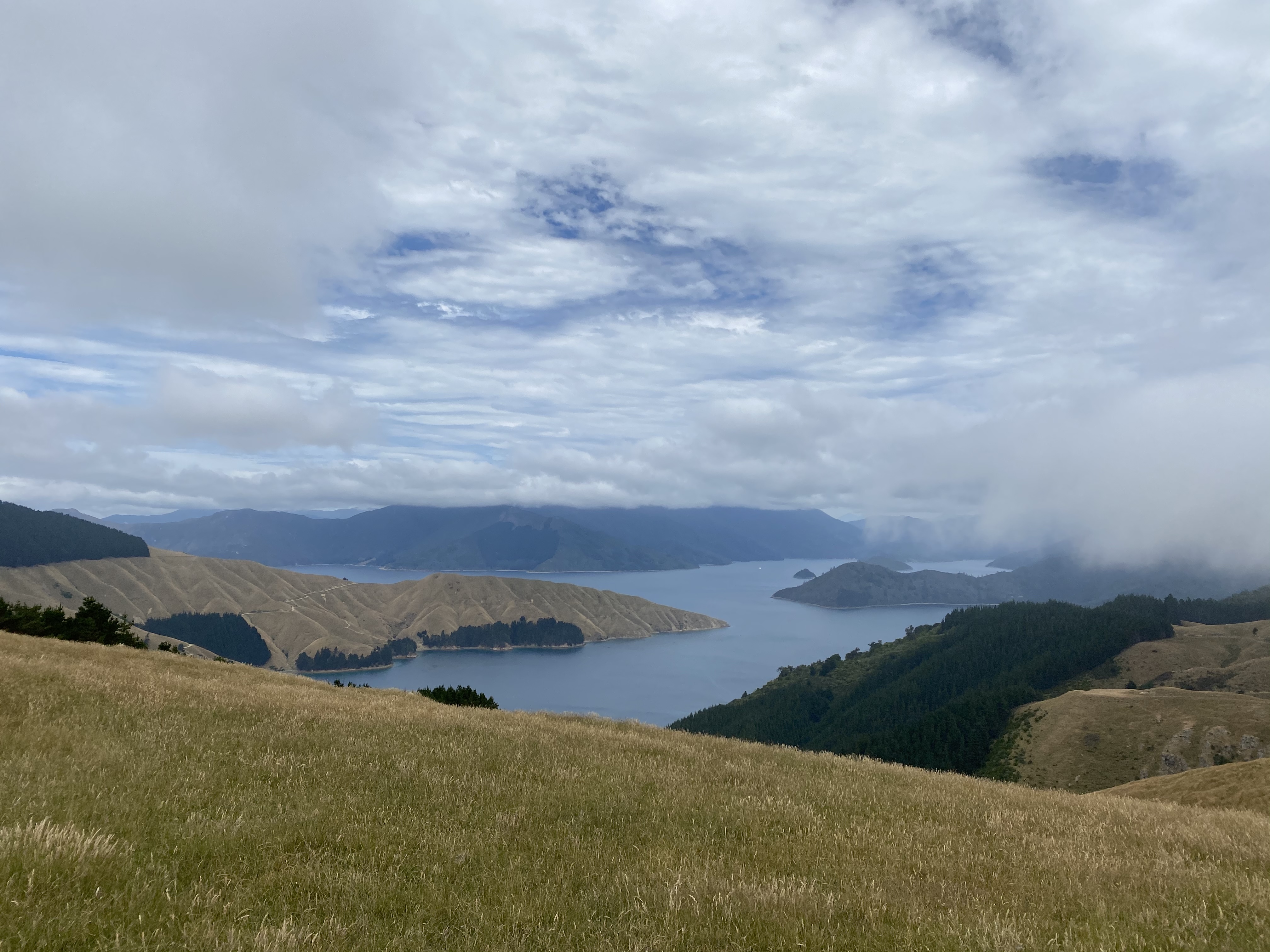 BD0B38CA-1BCC-400A-B627-4E3BC1445D55