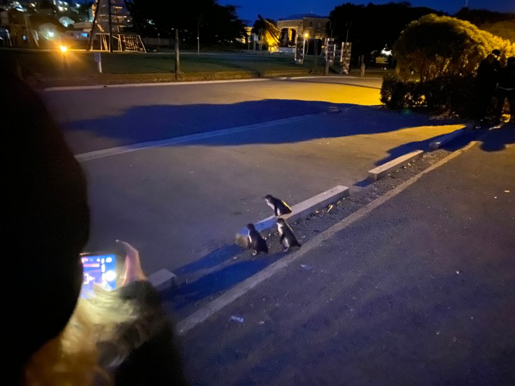 BDA33632-4EF3-4468-A26E-484DBE53FA94