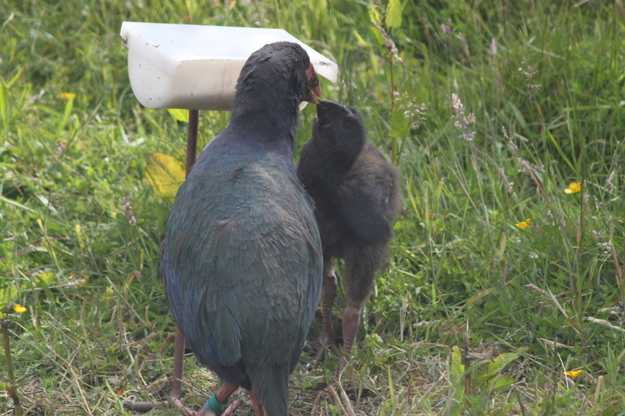 C4FF4E4C-4ACB-4DF0-90A4-3050431D1CE1