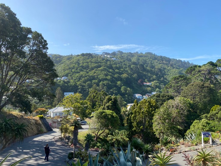 CAEFD4DB-7003-42F6-999B-8D6F72BA0C58