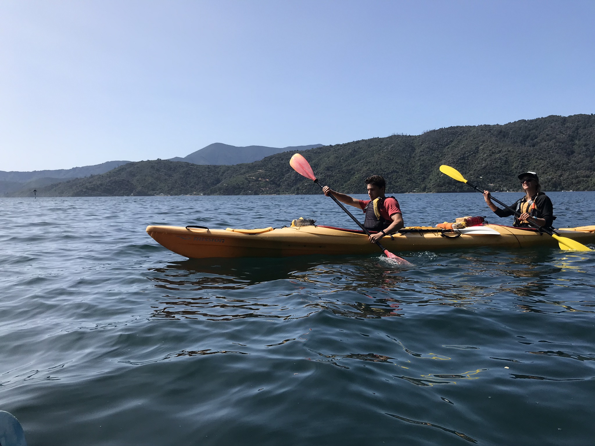 D4BBA6AE-BF0B-43C8-BE90-FE2349E49431