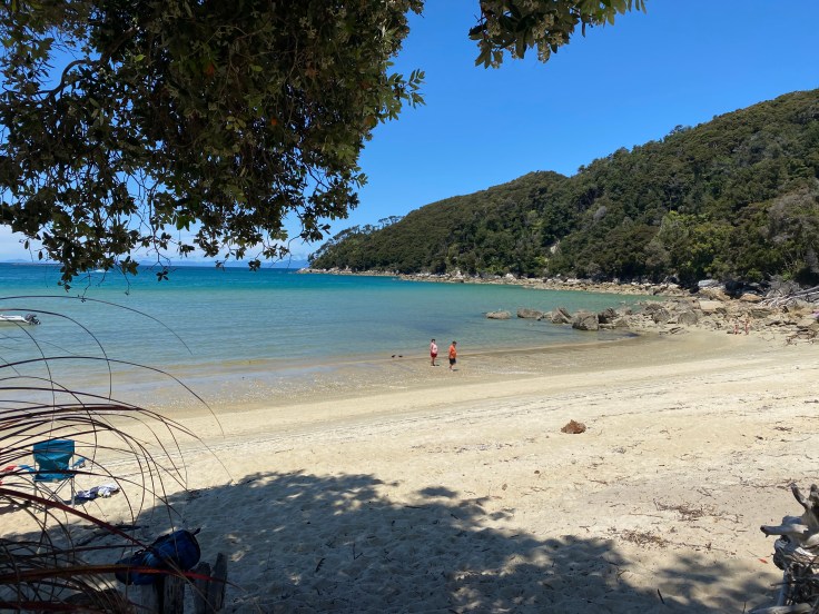 D8D44B4D-56B7-4F4B-A461-08DE34EC8F08