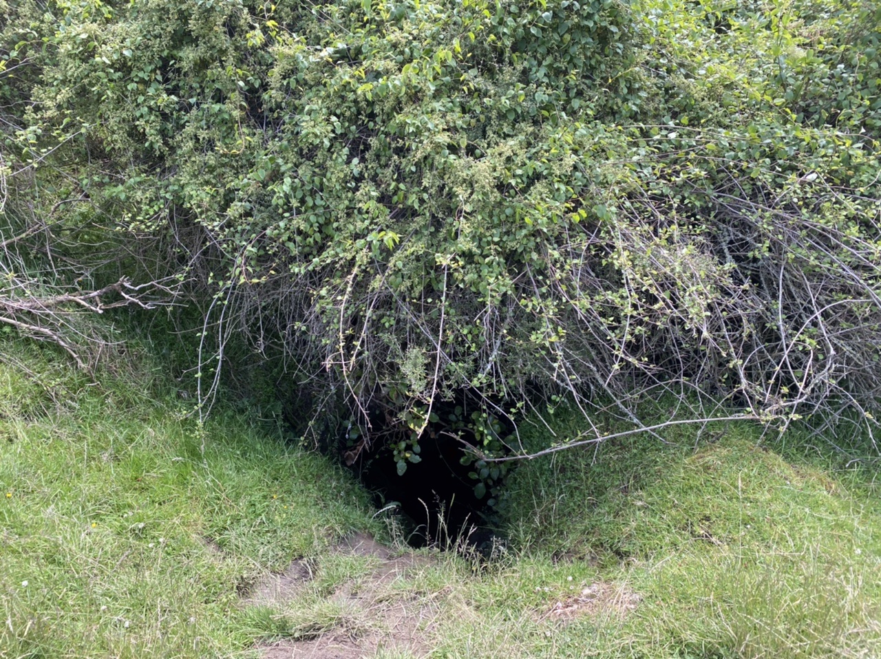 E489608A-7427-4EE4-980A-02ABF0F08EED