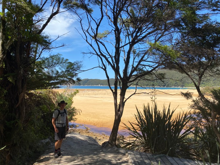 E81E3C87-0A84-47A4-A0EA-8E58EF7E1831