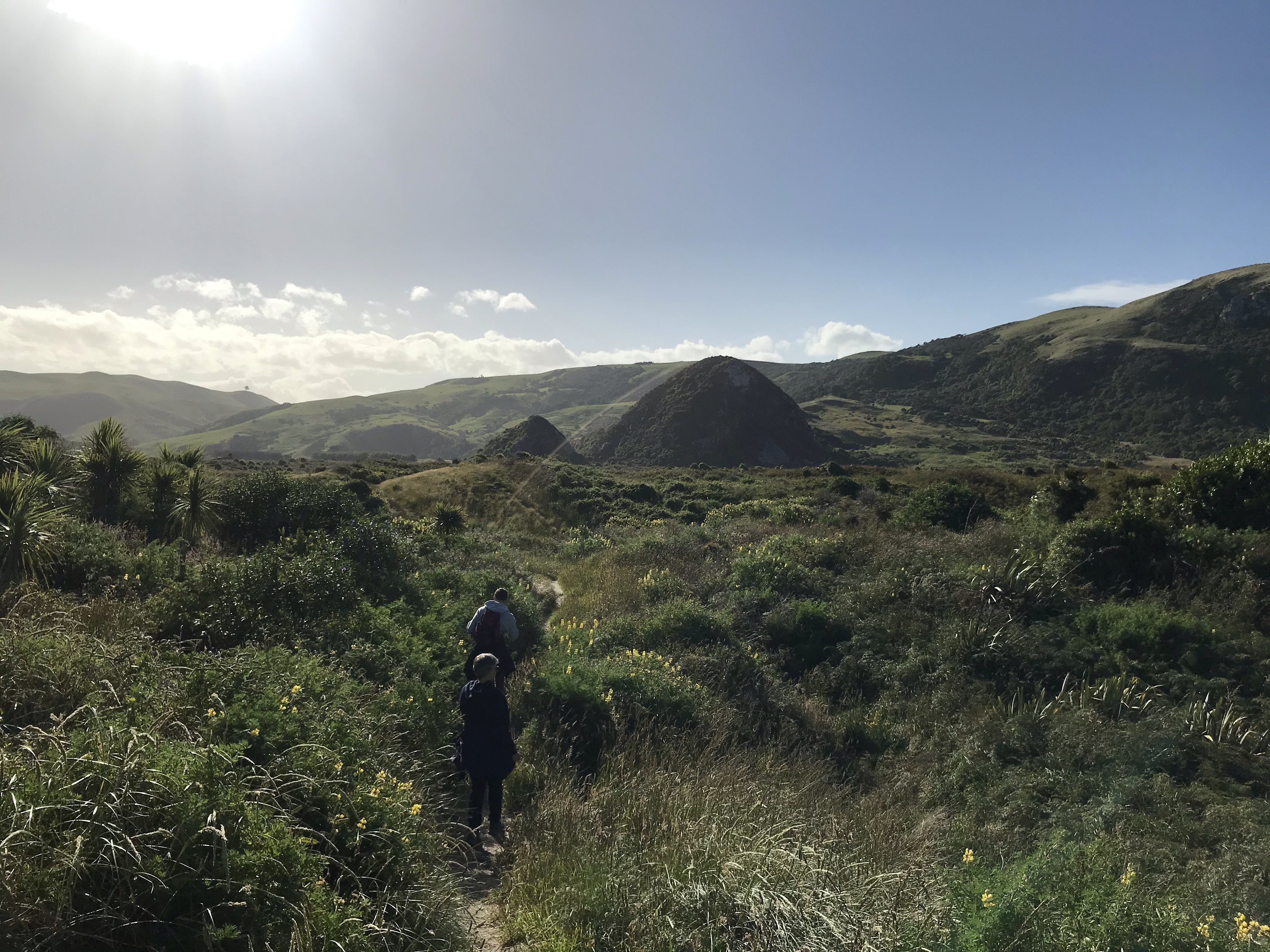 EC2C15DC-EC34-4645-A989-0DD7E309B9C8