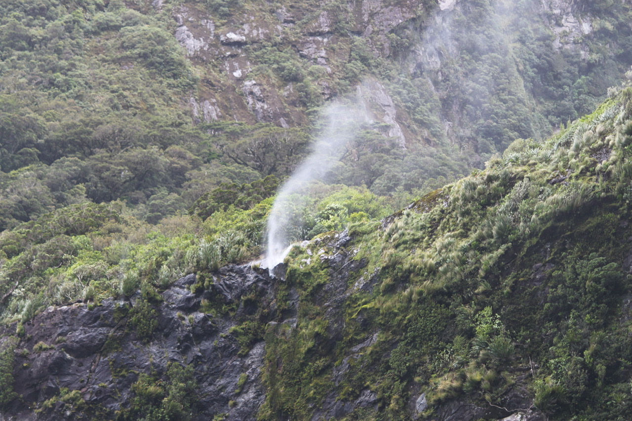 EDEBD477-FABD-471B-8868-7F42CB6E07FC