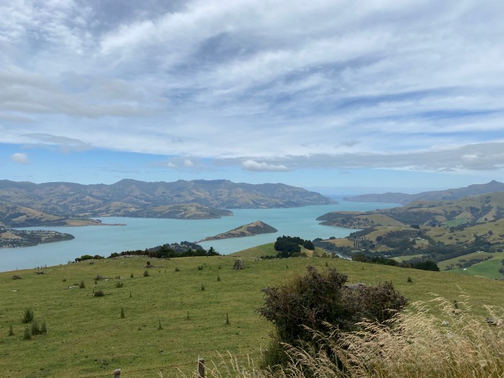 F031834B-8E49-41C3-99BA-0833D15958F1