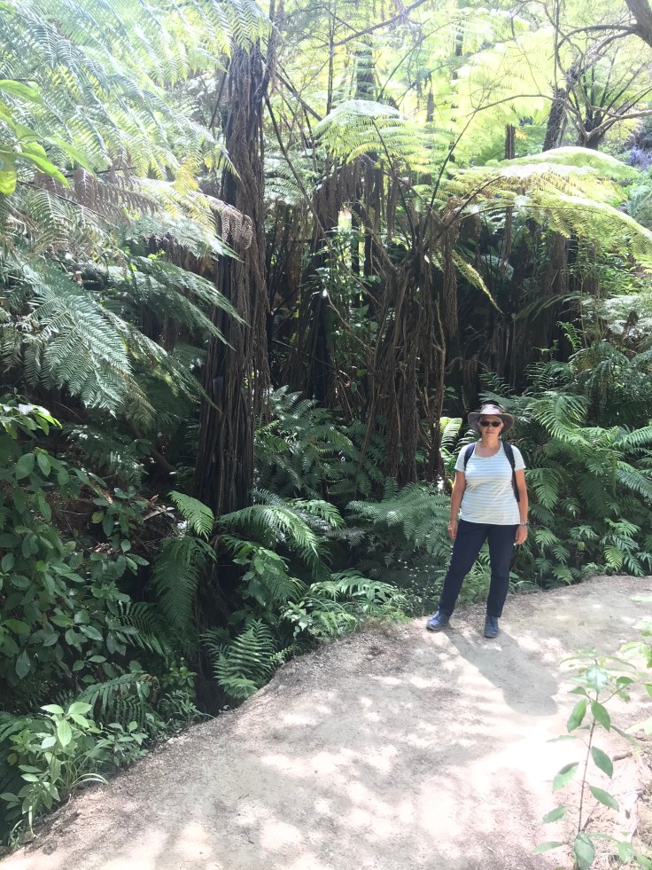 F399FEFC-250E-470E-B2F1-832A495FDD08