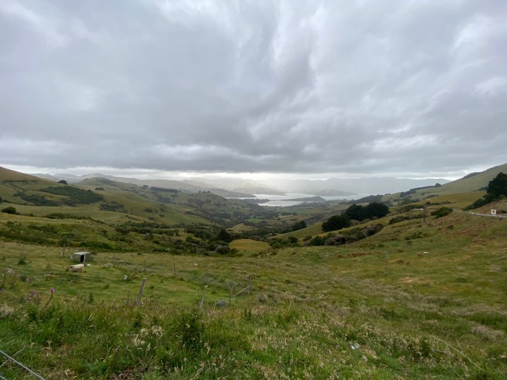 FAA68010-A1B1-404E-A947-C9D598A86617