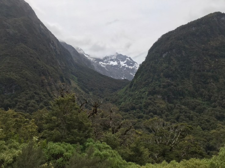 FAE28163-0440-4A43-A8C0-4F1D12636C97