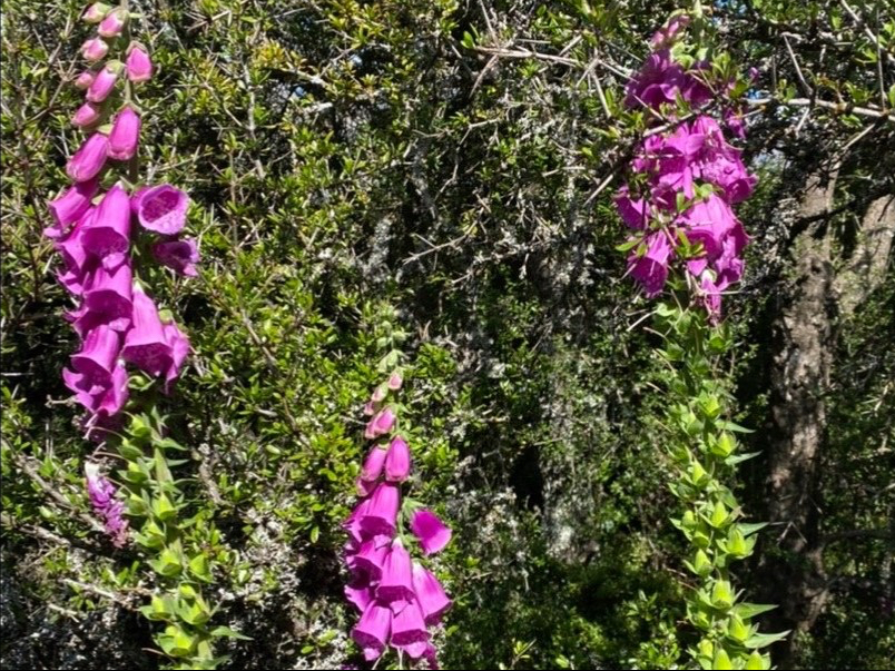 FB66C5C5-5A72-4CA3-98FF-16EBCAED35AA