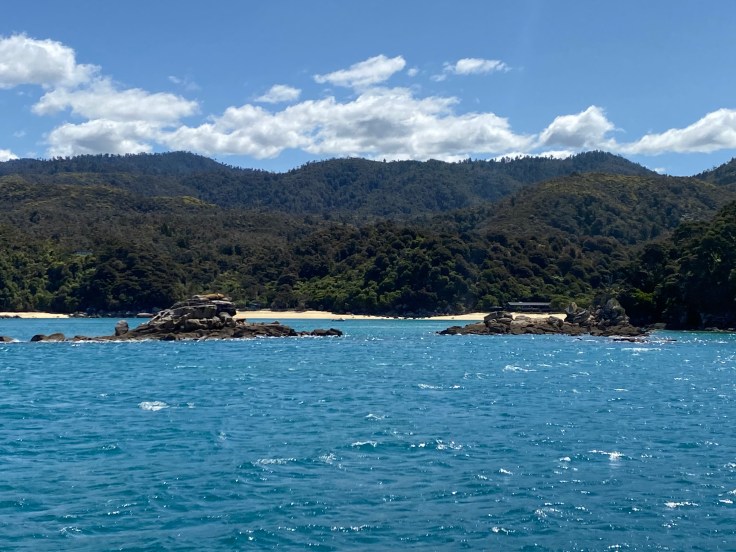 FCB473B2-CEEE-4A2E-8B41-280A5F5426F9