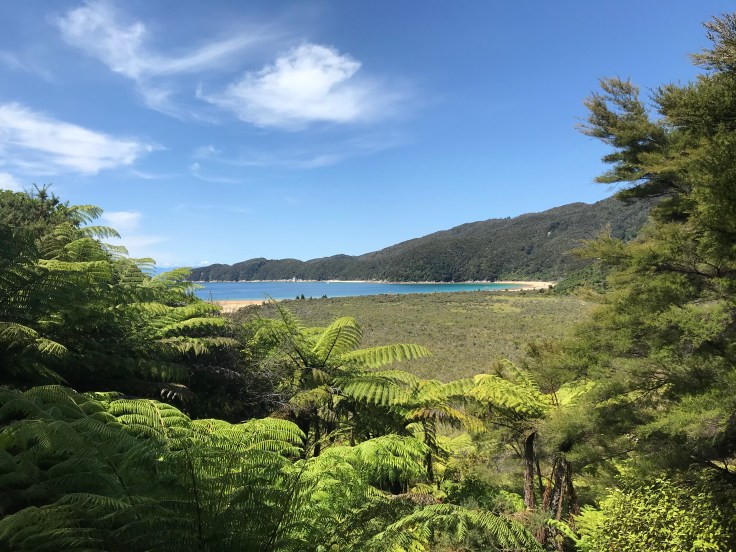 FFB64485-1E65-498A-8CED-B69C4541C942