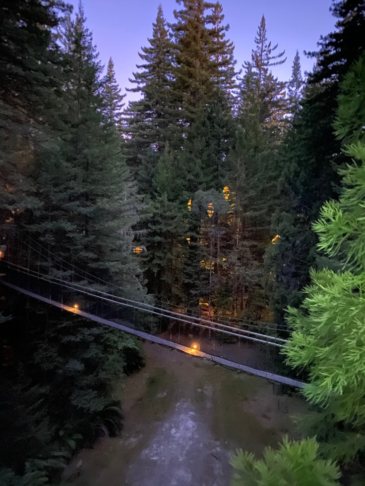 059F4D2B-0D25-43B2-8CF7-A05595898884