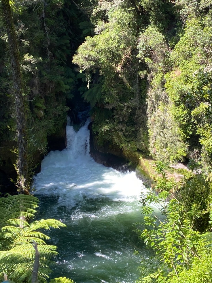 078ACD31-DD59-40BA-AA47-039E7C5C6673