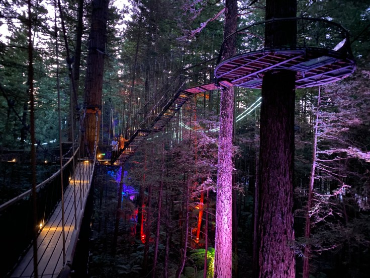 188F65CE-5C09-4200-B03B-6CAEEE24D738