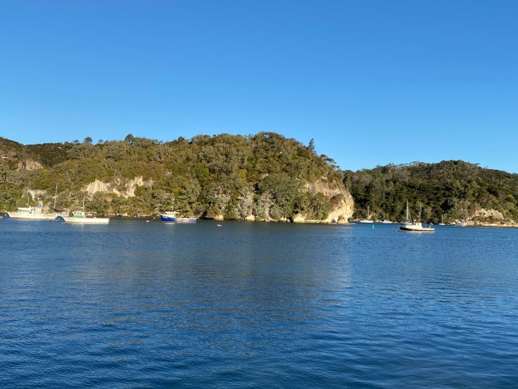 1D8E75E1-4D1B-479C-B99F-640866B129AF