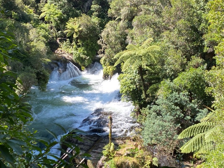 2687404C-BD6F-48FF-80C8-20113C46DDD9