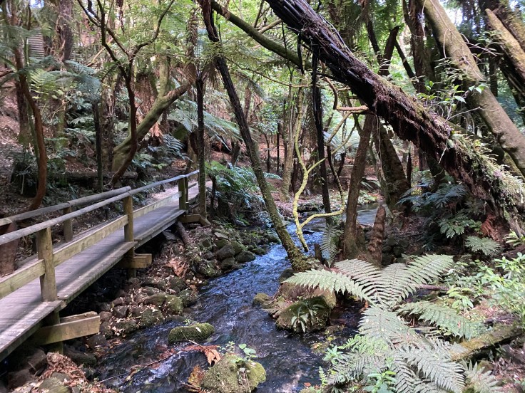 2BDC852D-104A-4EE8-83E4-0B8AE50011EA