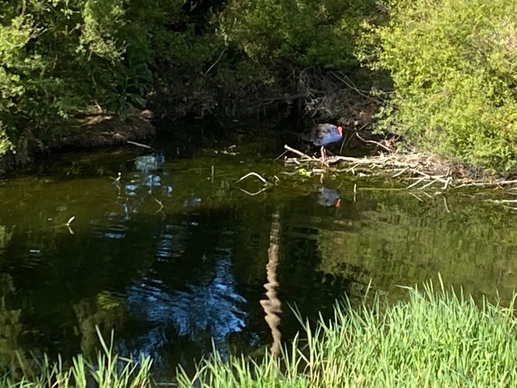 3393D567-40AC-4639-8E86-B8C9B6EF71E5