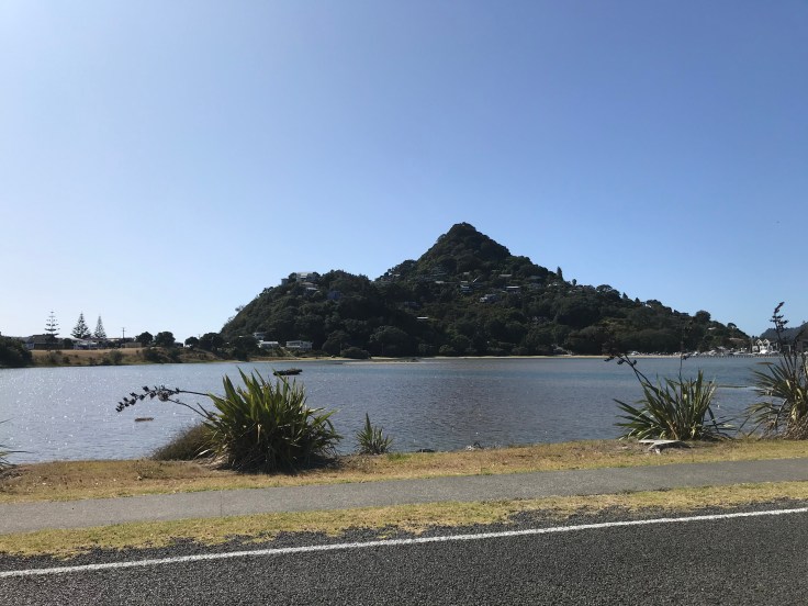 38FEF56E-7A09-4E2C-A1BC-727FCE25C808