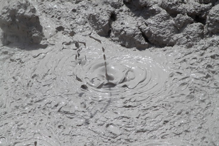 47759E99-5580-4E9C-98DD-A8D76E969E6C