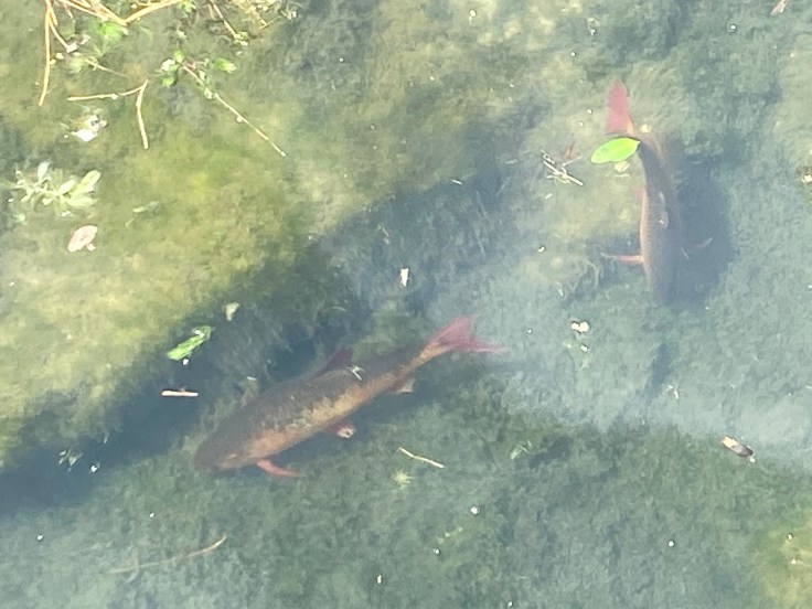 4BC6E8FF-8F39-4679-B37A-522971EF4E43