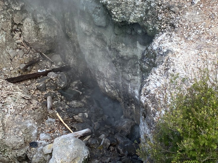 4FA35313-48EB-4284-B844-2C75ED0A4985