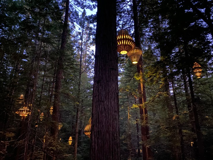 54E96693-5161-4F7A-B066-AFD3EF3465AB