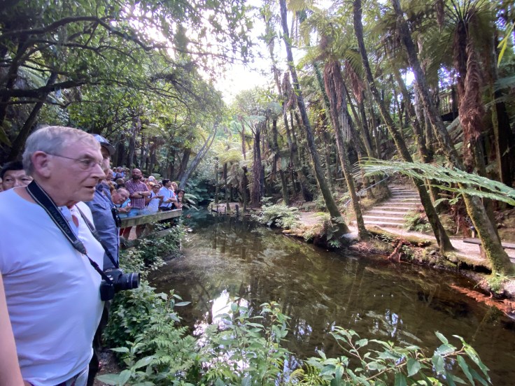 5F0F8B54-1EF4-49D1-8414-A3BA0DE3733C