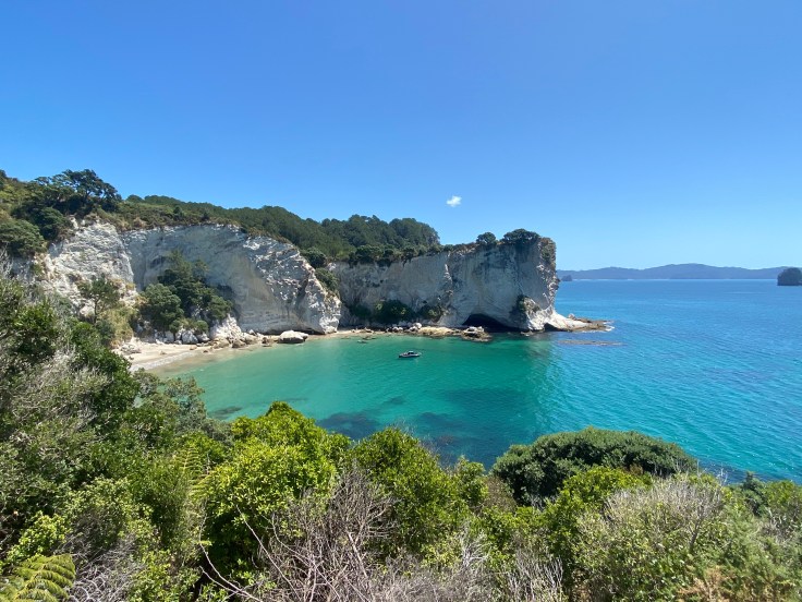 87745322-953F-4F64-B917-3216C2FA3073