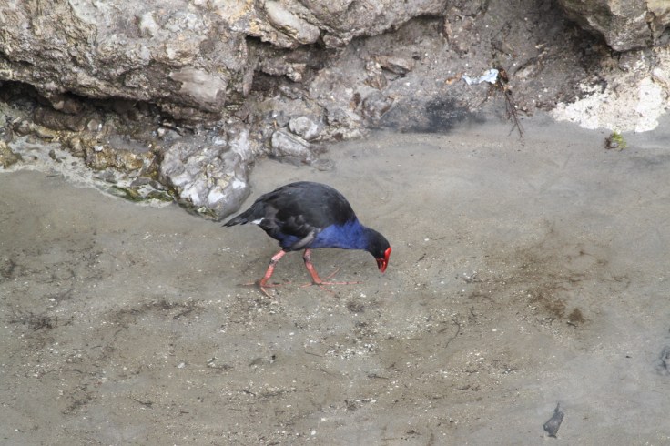 89DFCDAD-9DE9-4537-B024-4C3B8E1BC2FD