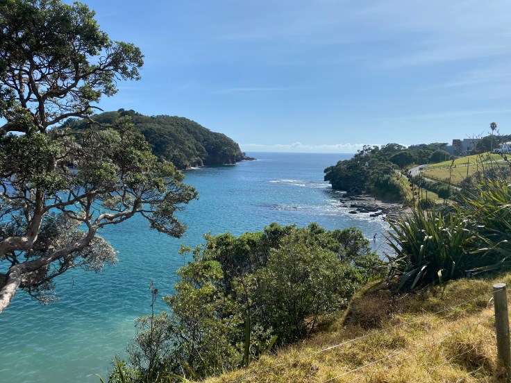 8C4DA8DF-7B06-4B08-863E-E43C5CD85328