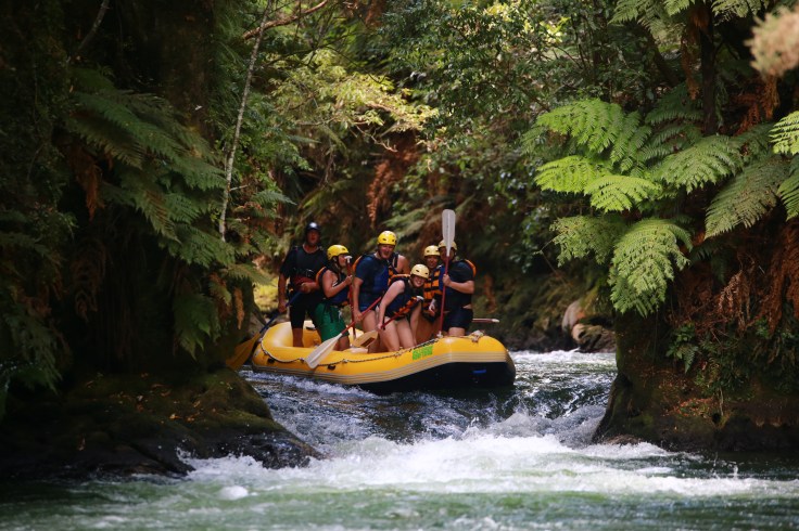 9730287F-FC19-4EA5-989C-2D95D8063F4D